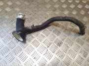 Schlauch Kühlung TOYOTA AVENSIS VERSO (_M2_) 2.0 D (CLM20_)