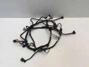 Kabelbaum NISSAN JUKE (F16) 1.0 240126PA1E