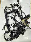 Kabel Motor BMW X4 (F26) 53781210