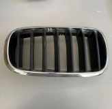 Vorderer oberer Gitter BMW X5 (F15, F85) xDrive 40 d 7316054