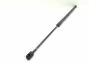 Heckklappendämpfer rechts Nissan Murano I (Z50)