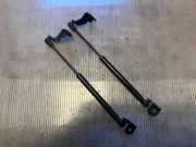 Heckklappe Gasdruckfeder links CHEVROLET CAPTIVA (C100, C140) 2.0 D 4WD 82553891300