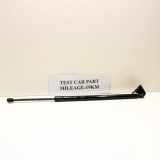 Heckklappe Gasdruckfeder rechts FORD KUGA III (DFK) 1.5 EcoBlue LV4B406A10AC