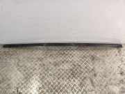 Dachleiste links RENAULT GRAND SCÉNIC II (JM0/1_) 1.9 dCi (JM14)