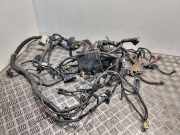 Motor Kabelbaum NISSAN NOTE (E11, NE11) 1.5 dCi