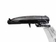 Türaußengriff links SUBARU LEGACY V (BM) 2.0 D AWD