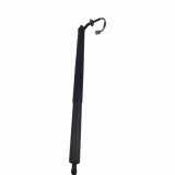 Heckklappe Gasdruckfeder links FORD Escape III 2.0 EcoBoost CJ54S402A55