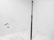 Gasfeder für Motorhaube BMW 7er (E65, E66)