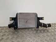 Ladeluftkühler Citroen C4 Aircross () 1607695880
