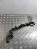 Schlauch Kühlung OPEL SIGNUM 1.9 CDTI 55563692