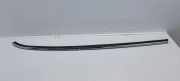 Schwellenverkleidung hinten links MINI COOPER (F56) Cooper 24474