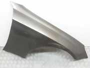 Kotflügel vorne rechts