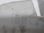 Behälter Scheibenwaschanlage Nissan Pathfinder III (R51) 28910EB500