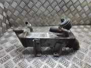 Abgaskühler Opel Movano B Kasten (X62) 8200910446C