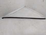 Windlauf VW Passat B7 (362) 3C0854328B