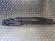 Grill Windlauf Ford Focus IV (HN)