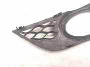 Blende Nebelscheinwerfer Mercedes-Benz E-Klasse (W211) A2118850522