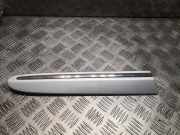 Schutzleiste Kotflügel Mercedes-Benz CLK Cabriolet (A209) 2096902662