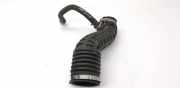 Schlauch für Luftversorgung Renault Koleos I (HY) 1026324