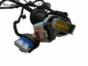 Türverkabelung hinten rechts PEUGEOT 3008 II SUV 1.2 42915404 9823051280