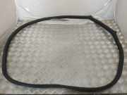 Türgummi links vorne BMW 5er Gran Turismo (F07) 7196349