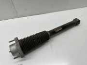 Stoßdämpfer hinten links