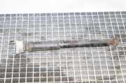 Stoßdämpfer hinten links MERCEDES-BENZ E Cabrio (A207) E 250 CDI / BlueTEC / d (207.403, 207.404) A2043260598