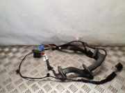 Kabel Tür Opel Movano B Kasten (X62) 241252756R
