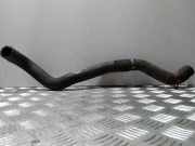 Schlauch Kühlung NISSAN PATHFINDER III (R51) 2.5 dCi 4WD