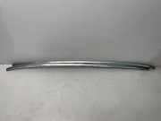 Dachreling links BMW 5er Touring (F11)