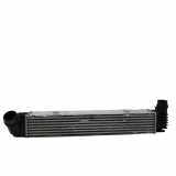 Ladeluftkühler RENAULT MEGANE III Hatchback (BZ0_) 2.0 dCi (BZ0Y) 144969107R