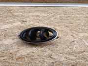 Frischluftgrill ALFA ROMEO 166 (936_) 2.4 JTD 224709