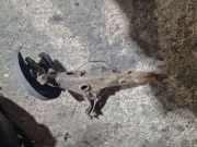 Radnabe hinten VW Transporter T6 Kasten () 7E0501413A