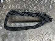 Blende Nebelscheinwerfer Hyundai Santa Fe III (DM) 865632W010