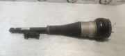 Stoßdämpfer links hinten Mercedes-Benz S-Klasse (W222) A2223200313