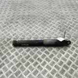 Stoßdämpfer hinten links MAN TGE Furgon (UY_) 2.0 TDI 2N0513029J