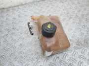 Ausgleichsbehälter RENAULT GRAND SCÉNIC III (JZ0/1_) 1.4 16V (JZ0F) 217100005RD 217100005R