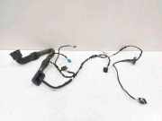 Türverkabelung hinten links MERCEDES-BENZ R (W251, V251) R 320 CDI 4-matic (251.022, 251.122) 2592305 A2514402409