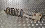 Stoßdämpfer hinten links LAND ROVER FREELANDER (L314) 2.0 Td4 4x4 RPB000050