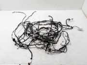 Innenkabelbaum (links) RENAULT KADJAR (HA_, HL_) 1.2 TCe 130 241639000R