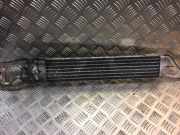 Kühler Mercedes-Benz A-Klasse (W169) 1695010165