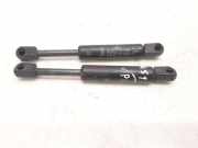 Gasfeder für Motorhaube Peugeot 406 Coupe (8C) 23904