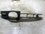 Blende Nebelscheinwerfer Audi A6 Avant (4F, C6)