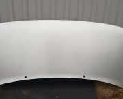 Motorhaube RHZ (DW10ATED)