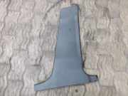 Rechte Seite B Säulenverkleidung