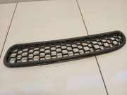 Kühlergrill komplett Mini Mini (R56)