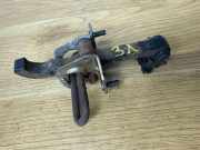 Türanschlag hinten links VOLVO XC90 I D5 AWD 8650061