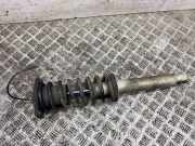 Stoßdämpfer hinten links MASERATI QUATTROPORTE V 4.7 S 462400001756