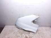 Kotflügel links vorne Ford Transit Kasten (FA)