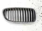Vorderer oberer Gitter BMW 5 (F10) 525 d 7200728